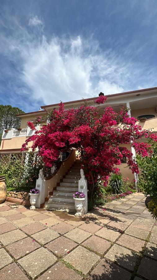 Casa Vacanze La Brii Iglesias Extérieur photo